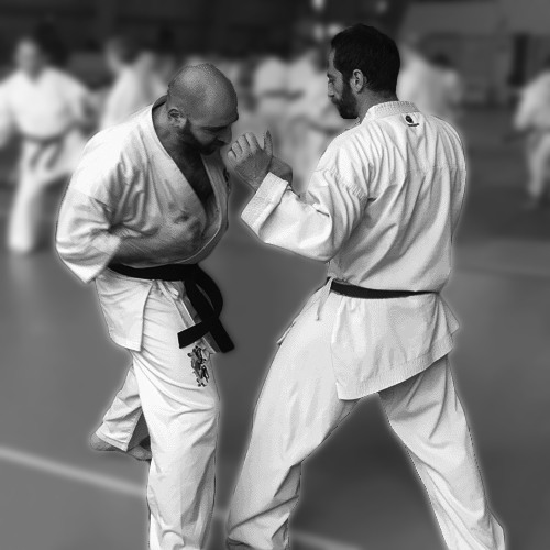 Contact Karate Atria Capua